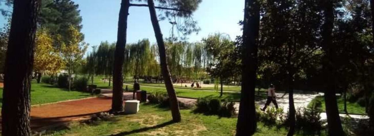 Çekmeköy Tekerlekli Sandalye Kiralama